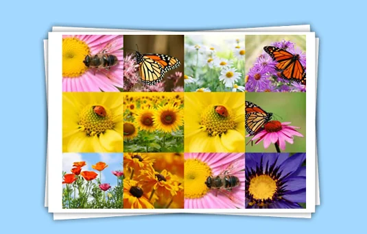 The Best Photo Collage Maker