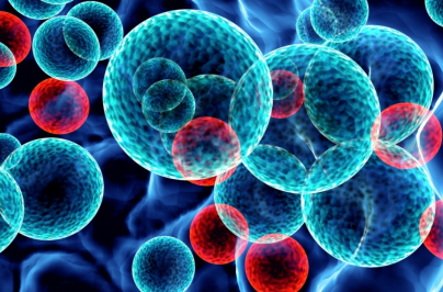 Human Microbiome Therapeutics