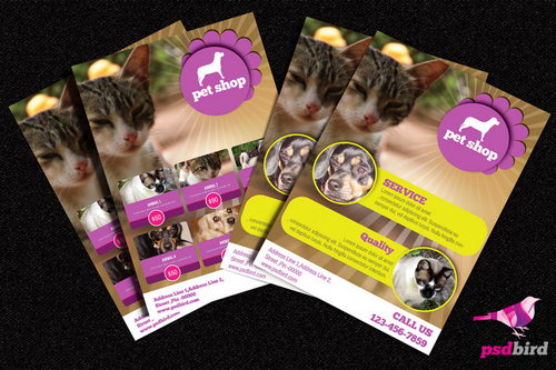 Pets & Animals Shop Brochure PSD