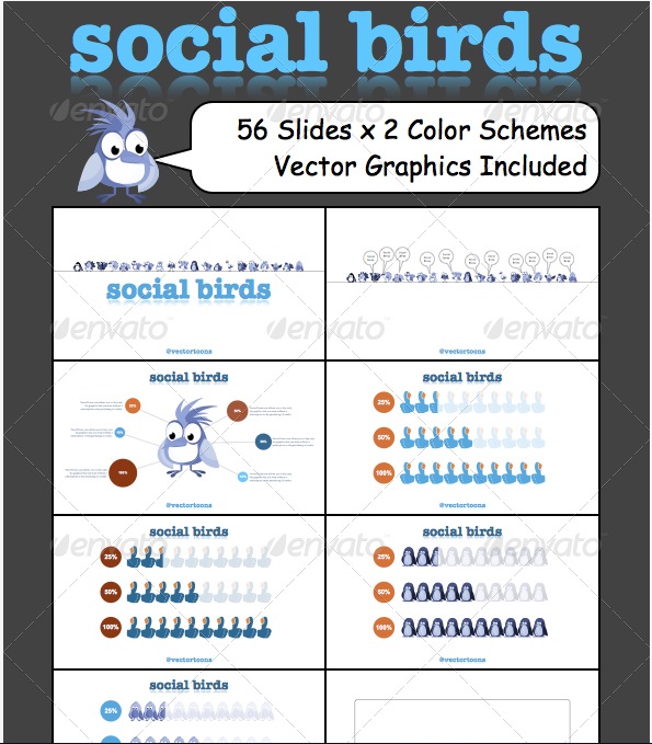 Social Birds Vector Infographic