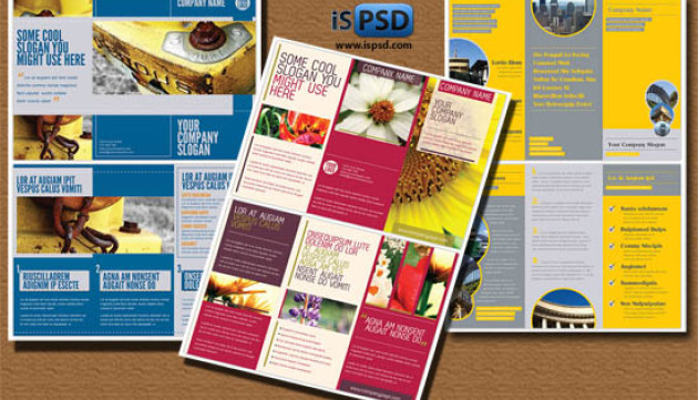 Tri fold Brochures Pack PSD