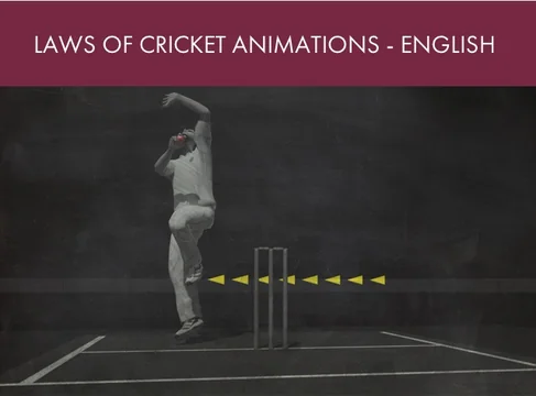 Watch Stephen Fry explain the Laws of Cricket