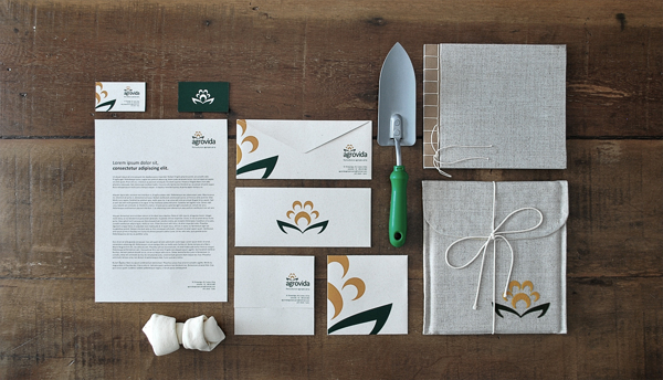 Agrovida visual identity design