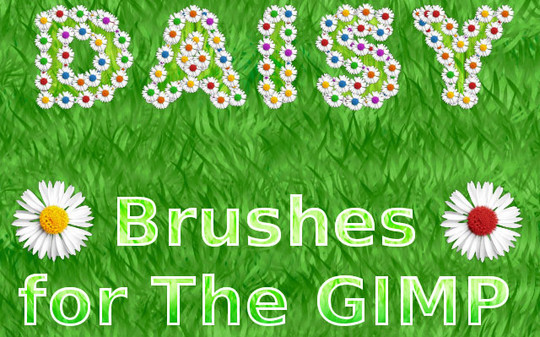 Daisy Brushes