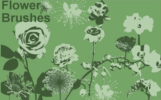 Flower brushes