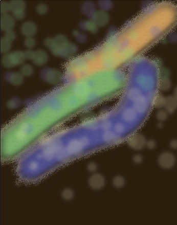 Gaussian-blur-1