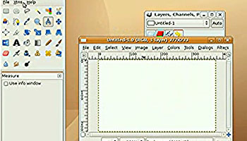 The User Interface