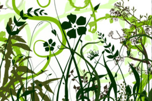 Vector Foliage-Plants