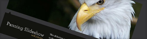 Animate Panning Slideshow with jQuery