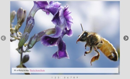 Awkward Showcase – A jQuery Plugin