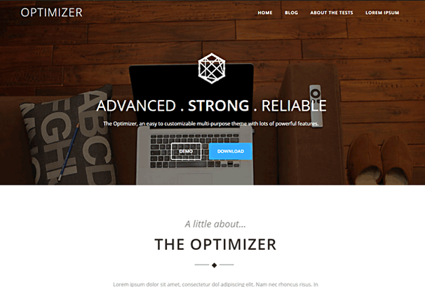 OPTIMIZER