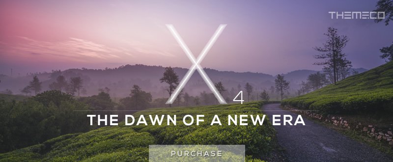 X Theme