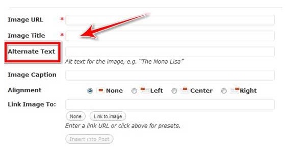 Digestible content