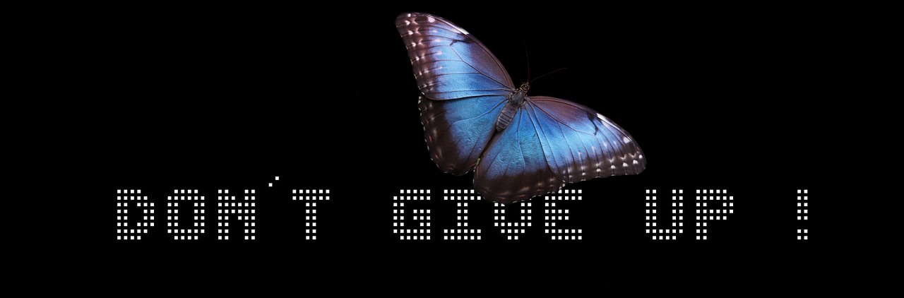 dont give up