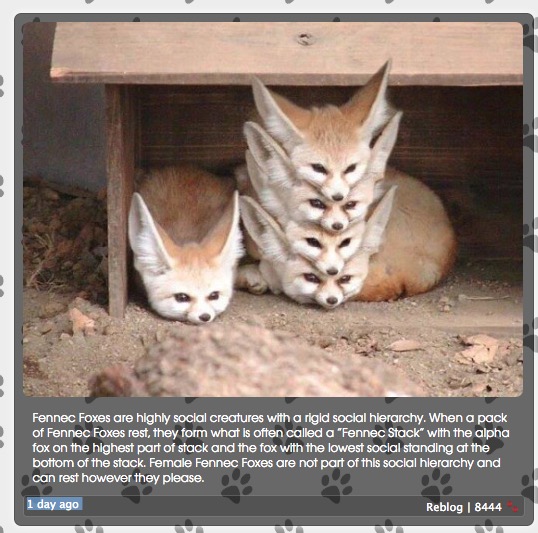 Screen Shot 2016-01-08 at 5.28.34 PM