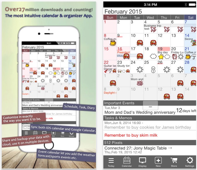 Jorte Calendar & Organizer, Diary