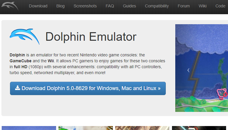 Dolphin