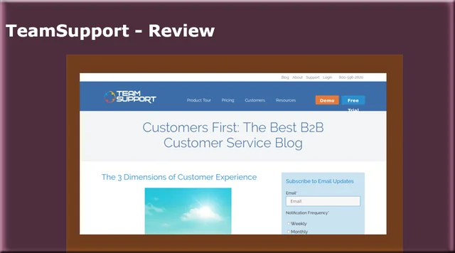 TeamSupport - Review