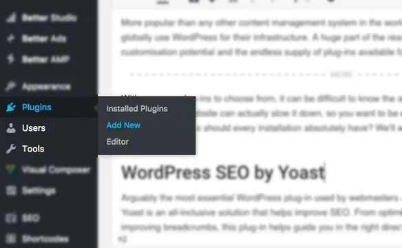 Which Plugins Should Every WordPress Installation Have?