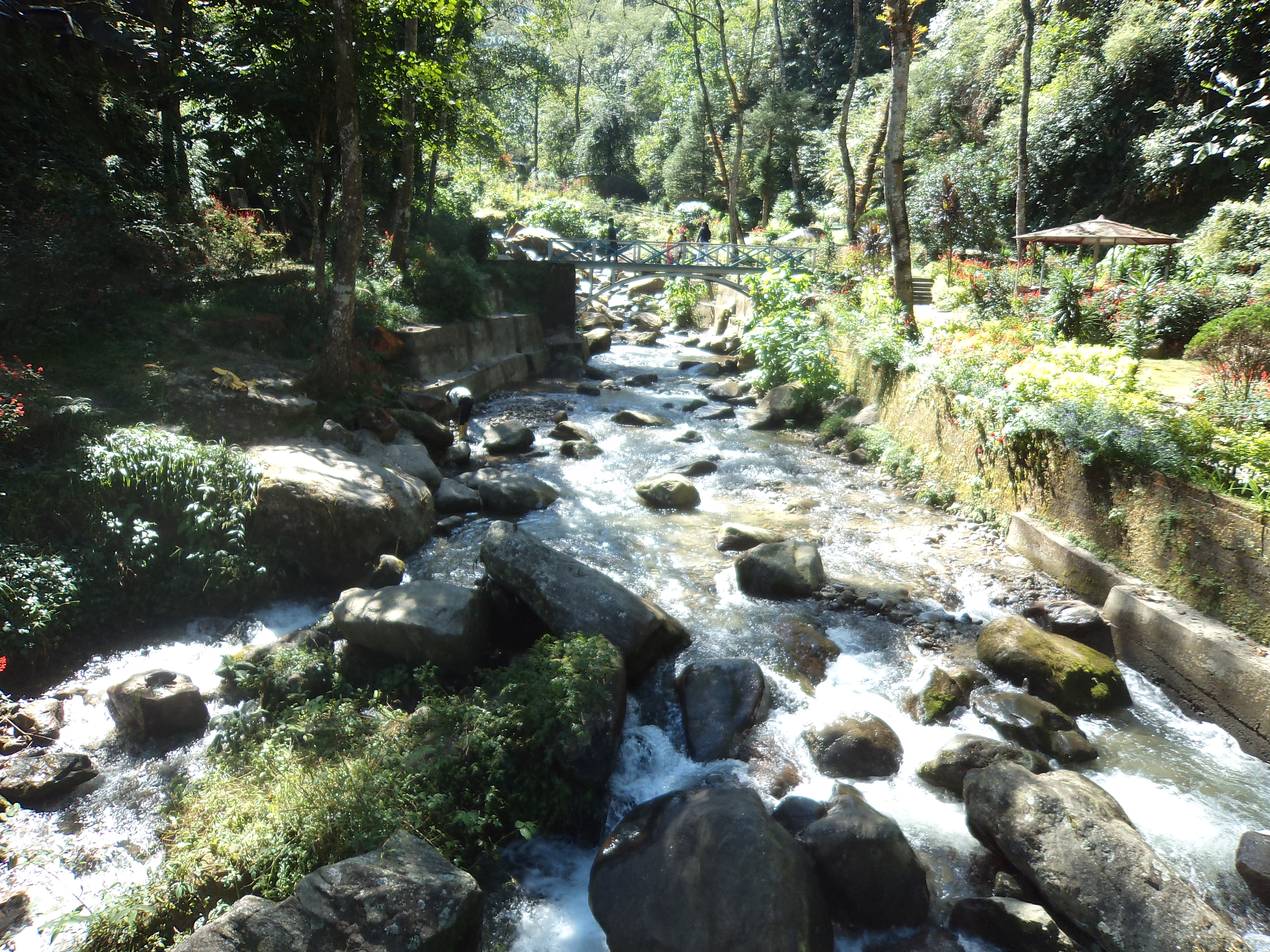 rock garden