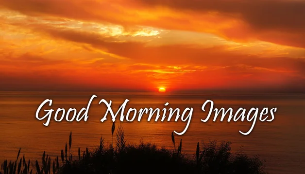 Good Morning Images