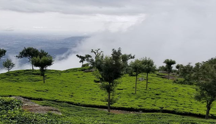 Ooty