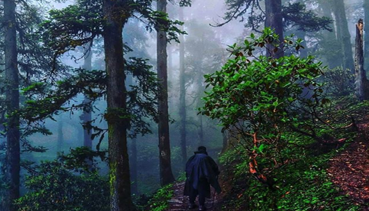 Ranikhet