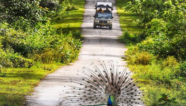 coorg