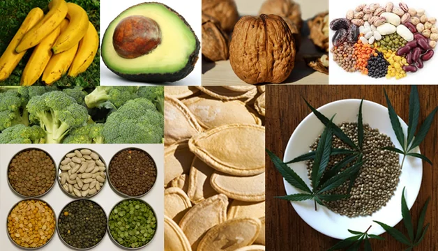Protein Rich Foods For Vegetarians And Non-Vegetarians