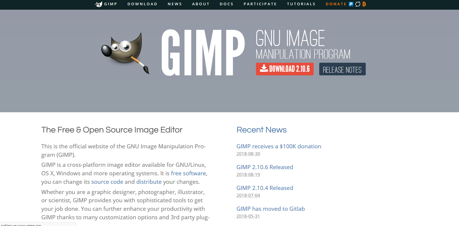 gimp