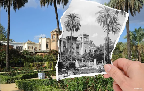 Revel in advanced and artistic Photo editing tools with Fotoworks