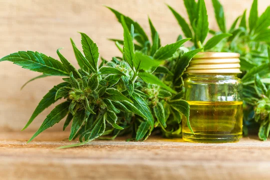 How CBD oil works for your body