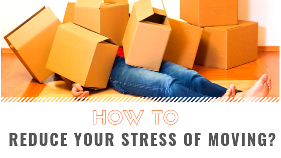Reduce Your Stress 