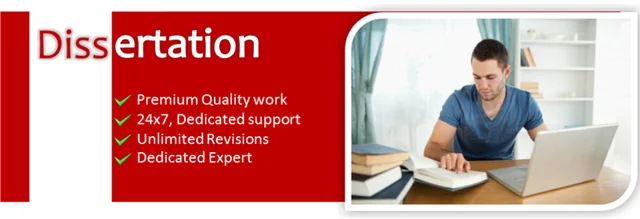 What is the purpose of a custom essay and dissertation writing service?