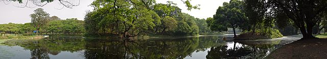 botanical garden