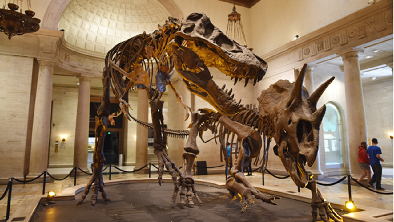 Museum Hopping