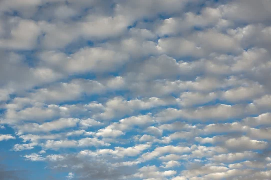 SkyCap Financial – A Review