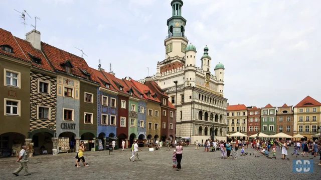 Study in Poland an interesting idea