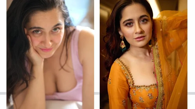 Sanjeeda Sheikh: Date Of Birth, Early Life, Career, Net Worth, Affairs And Marriage, Children And Many More