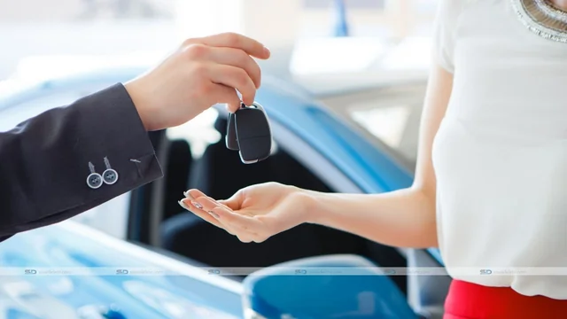 Buying a Car in the Netherlands: Turmoil Ends Here