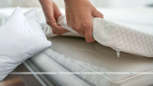 Why the Plant Pillow and Cooling Mattress Protector are Good for Sleepers