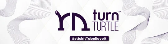 Turn Turtle Review: A Helpful Range of Mobile Accessory