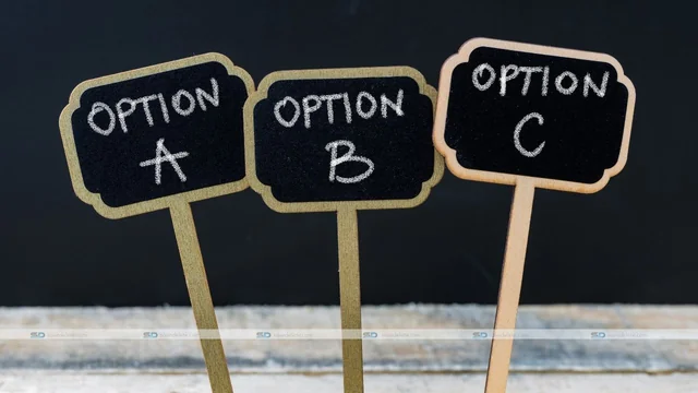 What are the Different Types of Fund Options in a ULIP?