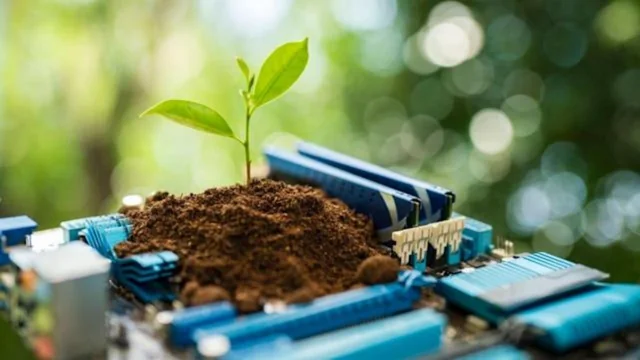 Scientists Create Algae Computer Powered By Photosynthesis