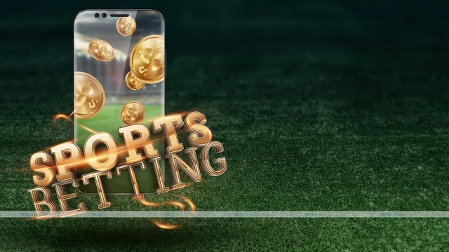 Features of sports betting from the site Pin Up