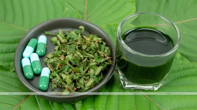 Getting To Know Green Horned Kratom: Features and Dosage