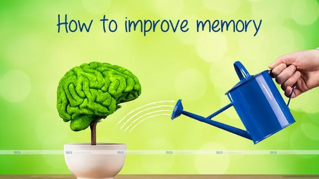 How to improve your memory?