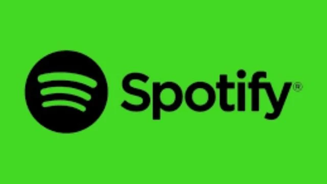 Spotify rolls out real-time lyrics quietly on the Nest Hub