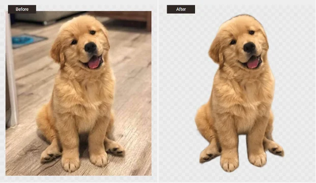 BGremover Review One Click to Get Images Remove￼