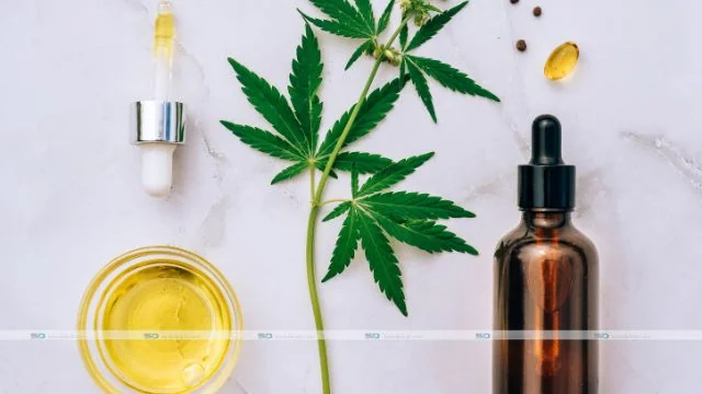 CBD Flower vs. Marijuana: What's the Difference?